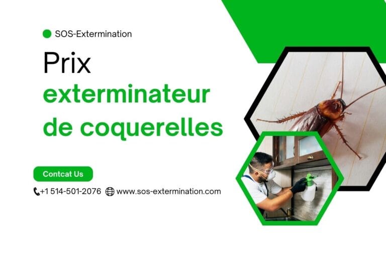 Couvreurs de coquerelles en action lors d'une intervention de désinsectisation à domicile, garantissant un environnement sain et sans nuisibles.