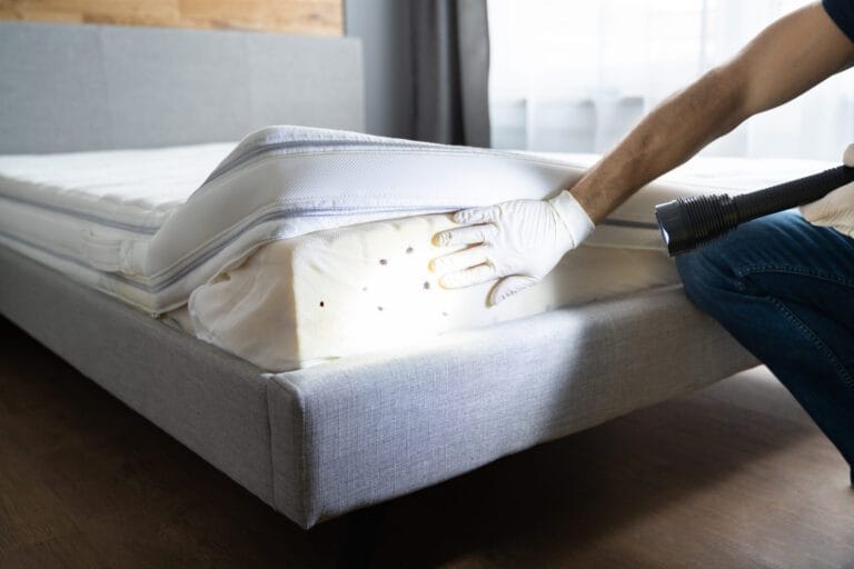 Noir sur fond blanc, inspection d’un lit pour détecter des punaises de lit par un professionnel en extermination, utilisant une lampe de poche, dans une chambre propre et lumineuse, processus de traitement antiparasitaire.