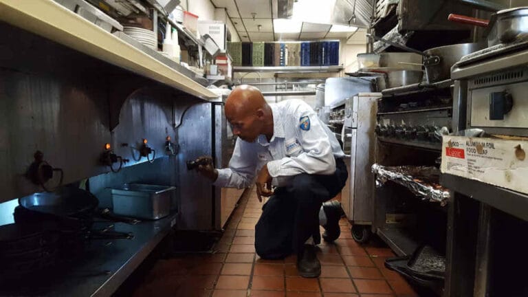 Nettoyage professionnel en cuisine commerciale pour éliminer les nuisibles, avec inspection et traitement par des experts en extermination SOS.