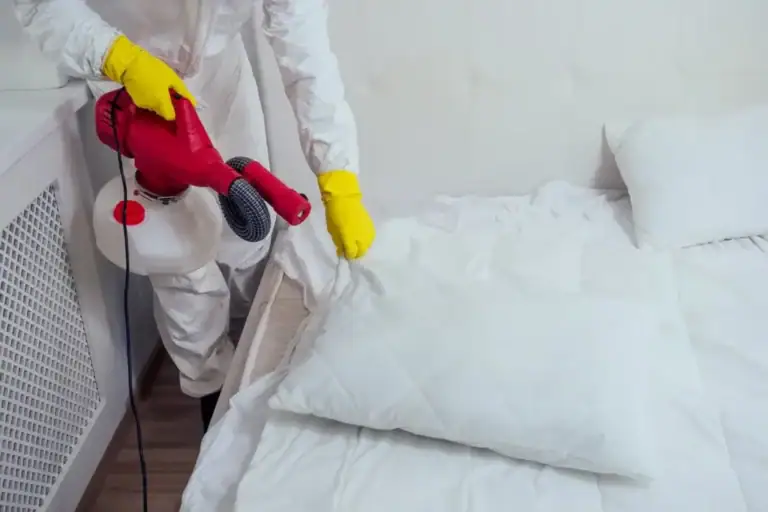 Désinfestation de lits et élimination des punaises de lit par des professionnels à Montréal. Service de traitement efficace pour un environnement sain et sans parasites.