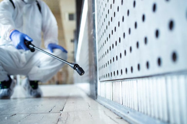 Fichier: extermination-pest-control-sos-extermination.jpg.