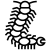centipede